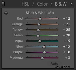 4 Expert Tips for Stunning Black & White Photos in Lightroom