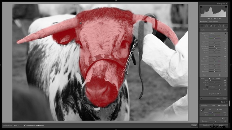 4 Expert Tips for Stunning Black & White Photos in Lightroom