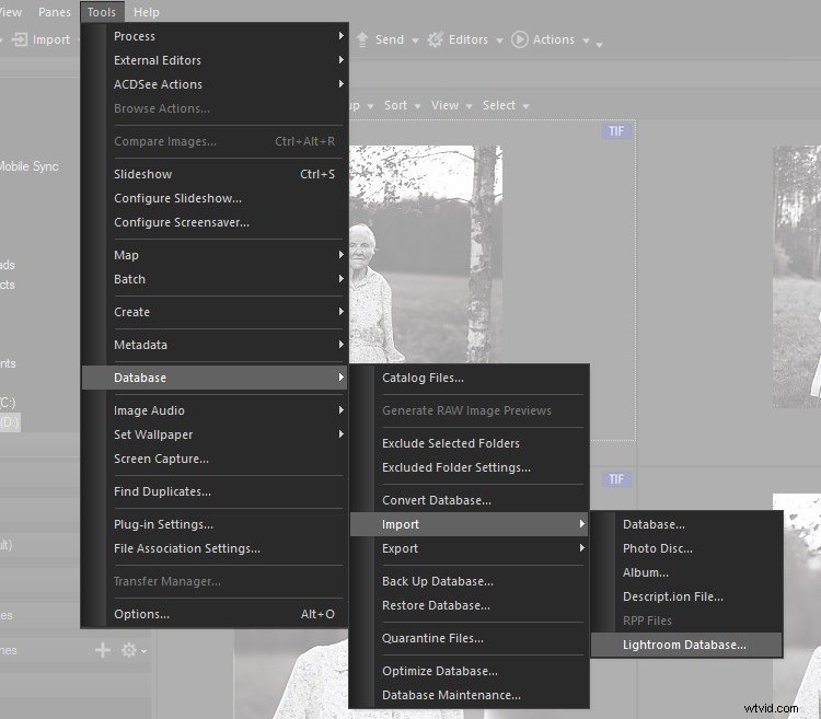 Seamless Migration: Switch from Adobe Lightroom to ACDSee Photo Studio Effortlessly
