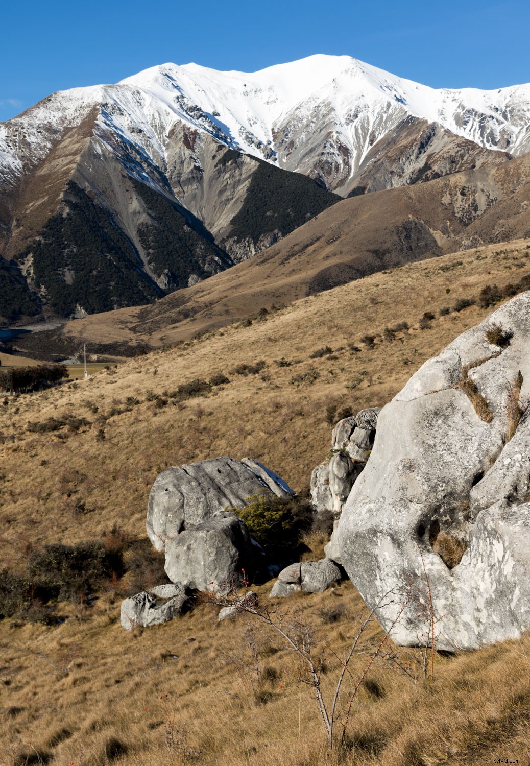 In-Depth Review: Filterbooth Preset Collection for Lightroom & Photoshop