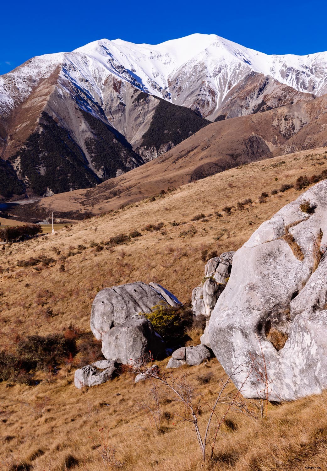 In-Depth Review: Filterbooth Preset Collection for Lightroom & Photoshop