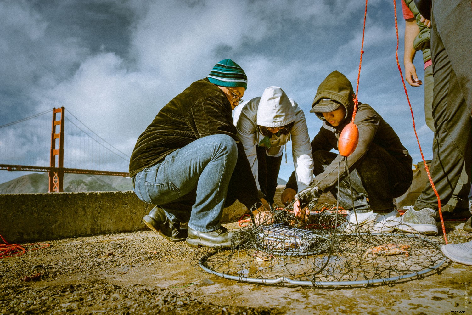 Master Vintage Film Looks in Lightroom: Essential Beginner s Guide