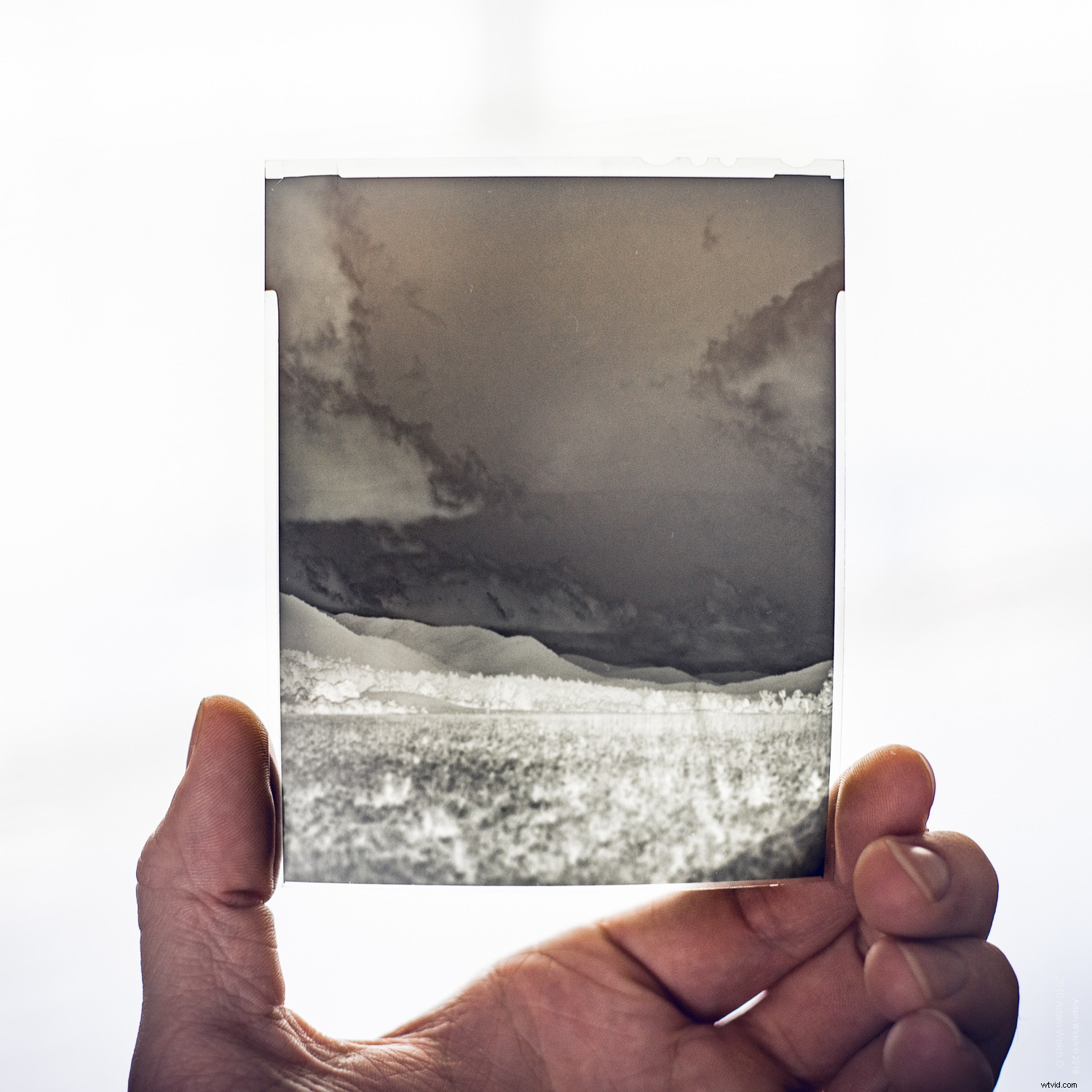 Master Vintage Film Looks in Lightroom: Essential Beginner s Guide