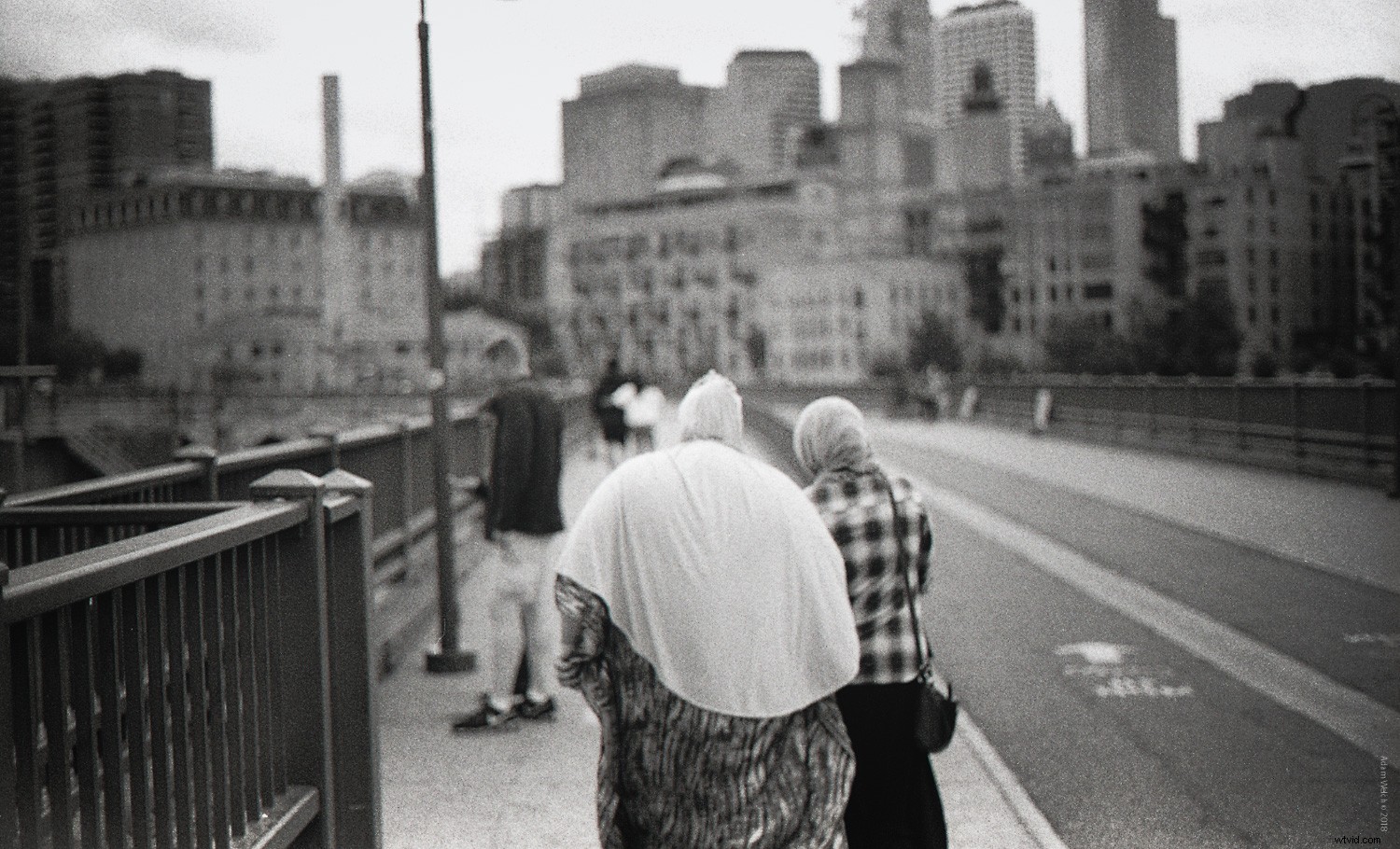 Master Vintage Film Looks in Lightroom: Essential Beginner s Guide