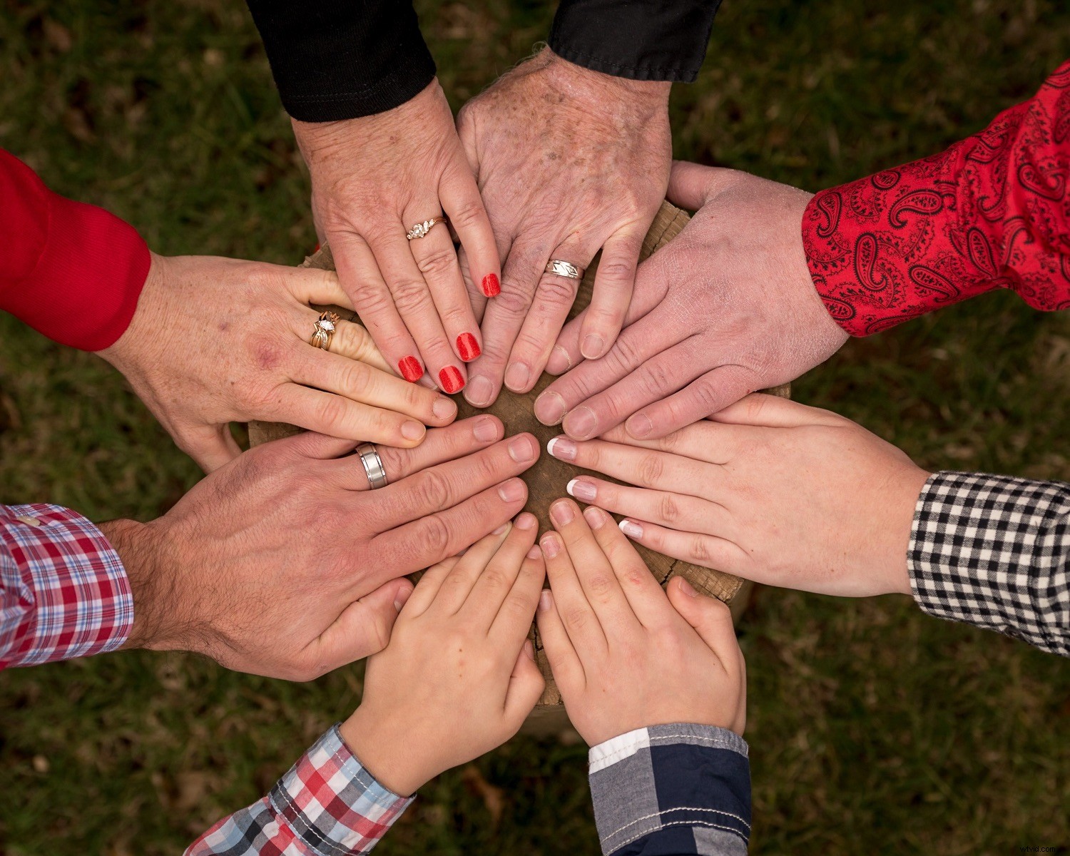 Master Lightroom s Vignette Tool: Unlock Stunning Photo Effects