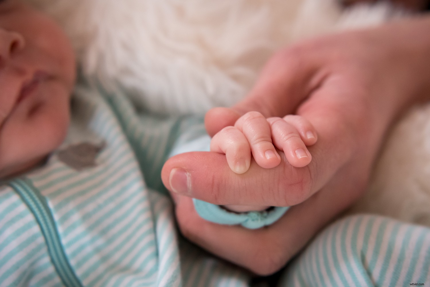 Master Lightroom s Vignette Tool: Unlock Stunning Photo Effects