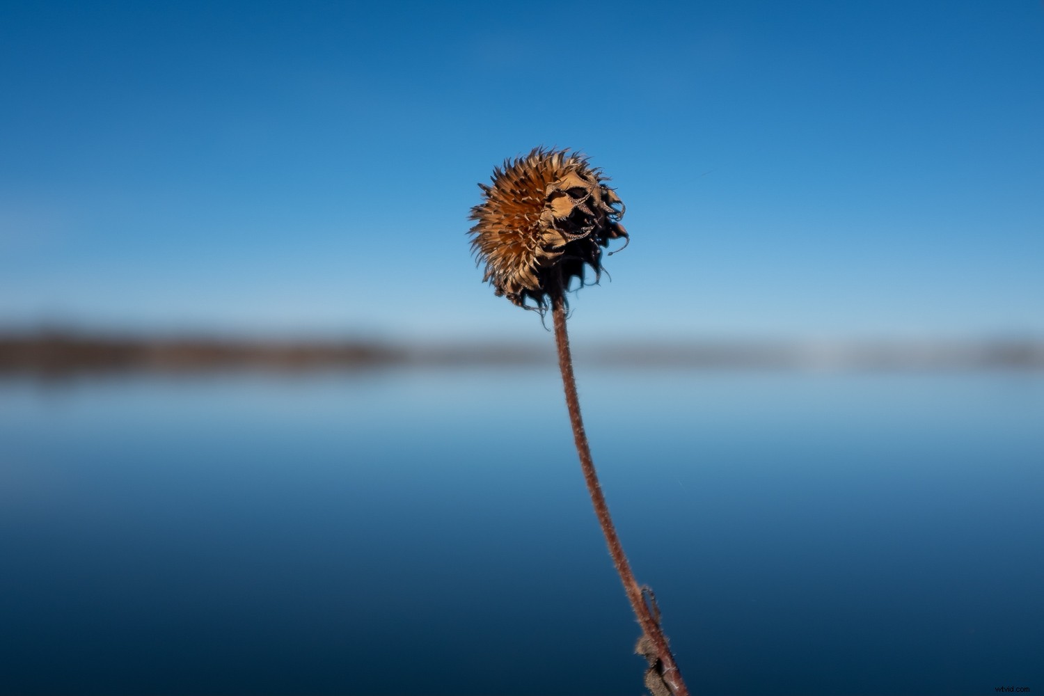 Master Effortless Photo Sharing in Lightroom CC: Pro Tips Revealed