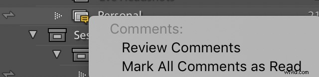 Master Effortless Photo Sharing in Lightroom CC: Pro Tips Revealed