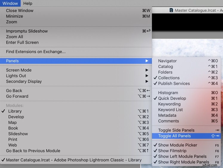 Master Your Lightroom Workflow: Customize Workspace for Peak Efficiency