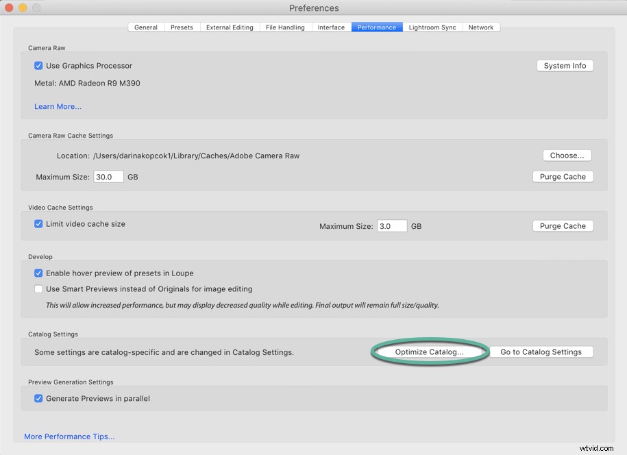 10 Proven Tips to Speed Up Lightroom Classic CC Performance