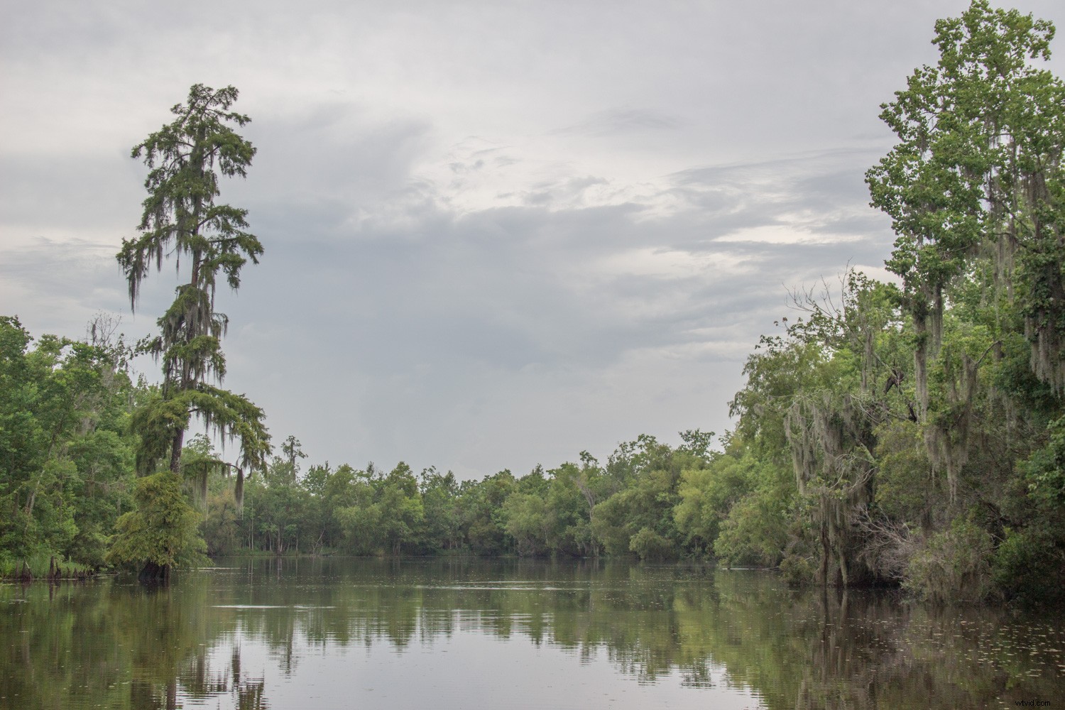 Master Landscape & Nature Photo Editing: Lightroom Gradient Tool & Range Mask Guide