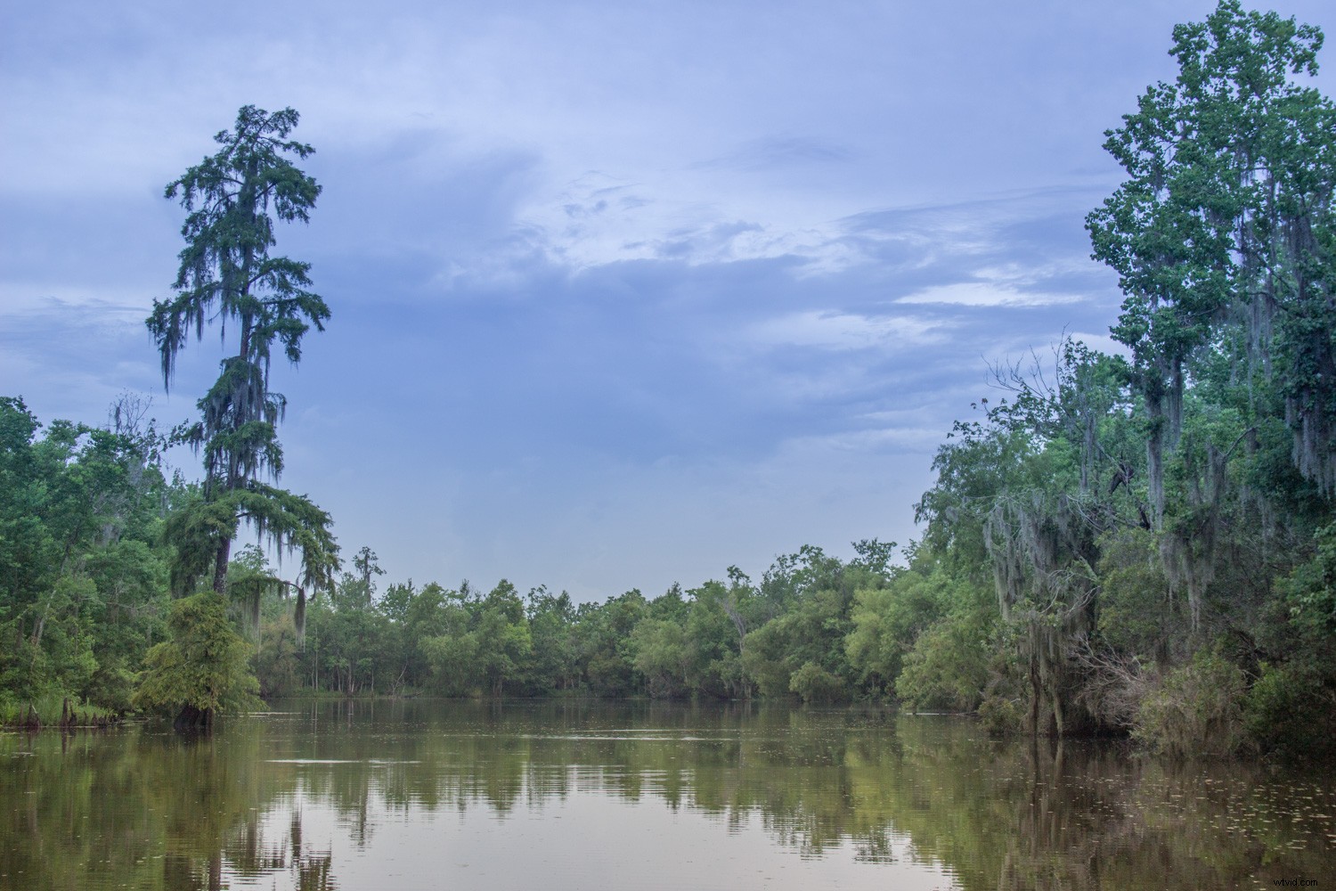 Master Landscape & Nature Photo Editing: Lightroom Gradient Tool & Range Mask Guide