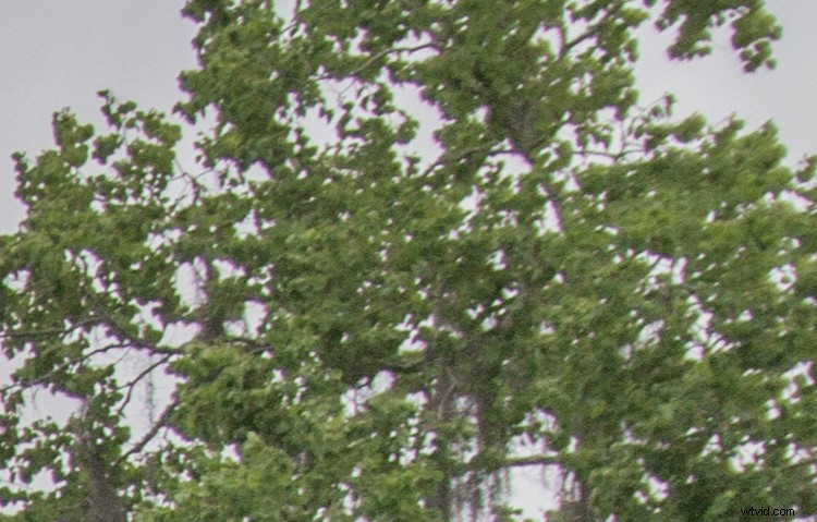 Master Landscape & Nature Photo Editing: Lightroom Gradient Tool & Range Mask Guide