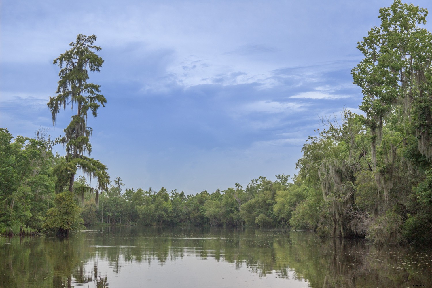 Master Landscape & Nature Photo Editing: Lightroom Gradient Tool & Range Mask Guide