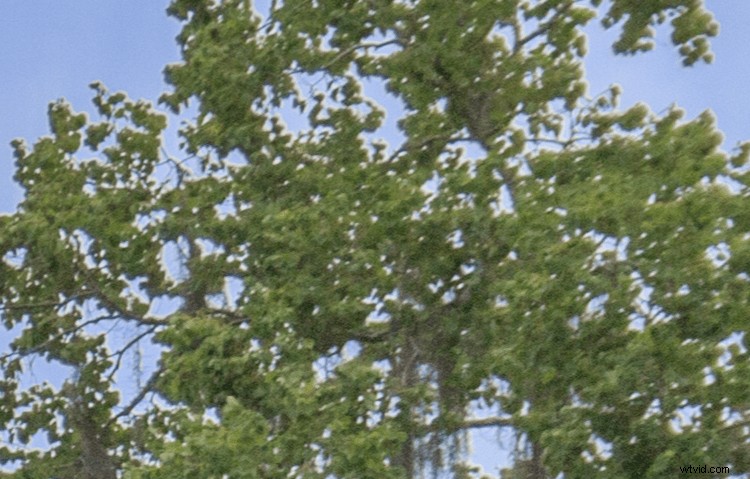 Master Landscape & Nature Photo Editing: Lightroom Gradient Tool & Range Mask Guide