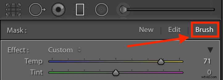 Master Landscape & Nature Photo Editing: Lightroom Gradient Tool & Range Mask Guide