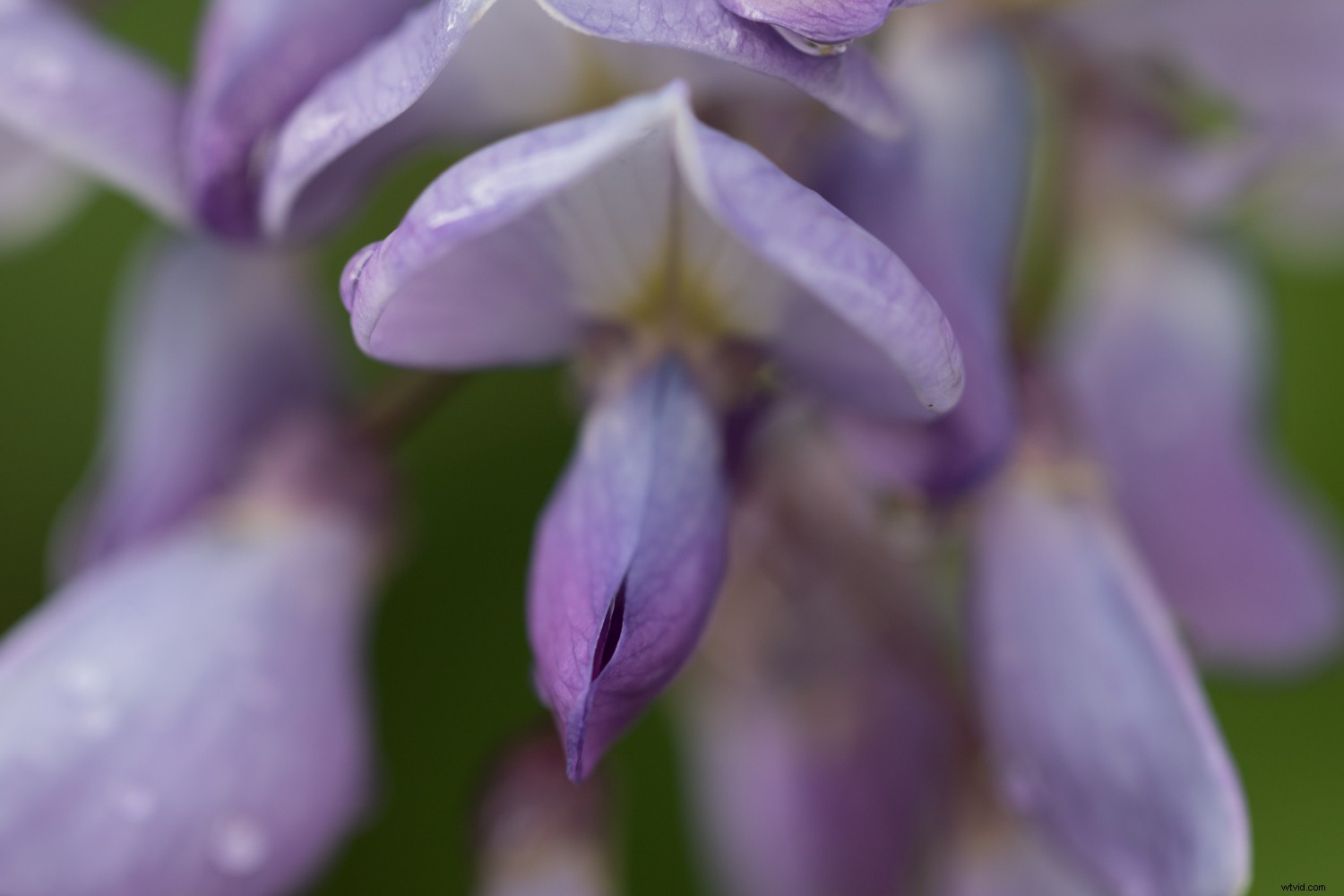 Unlock Your Creative Potential: Master Lightroom Presets for Stunning Photography