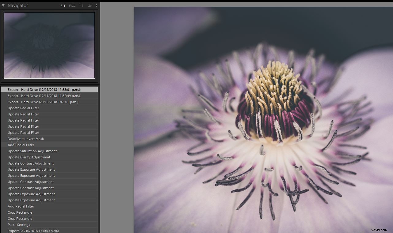 Unlock Your Creative Potential: Master Lightroom Presets for Stunning Photography