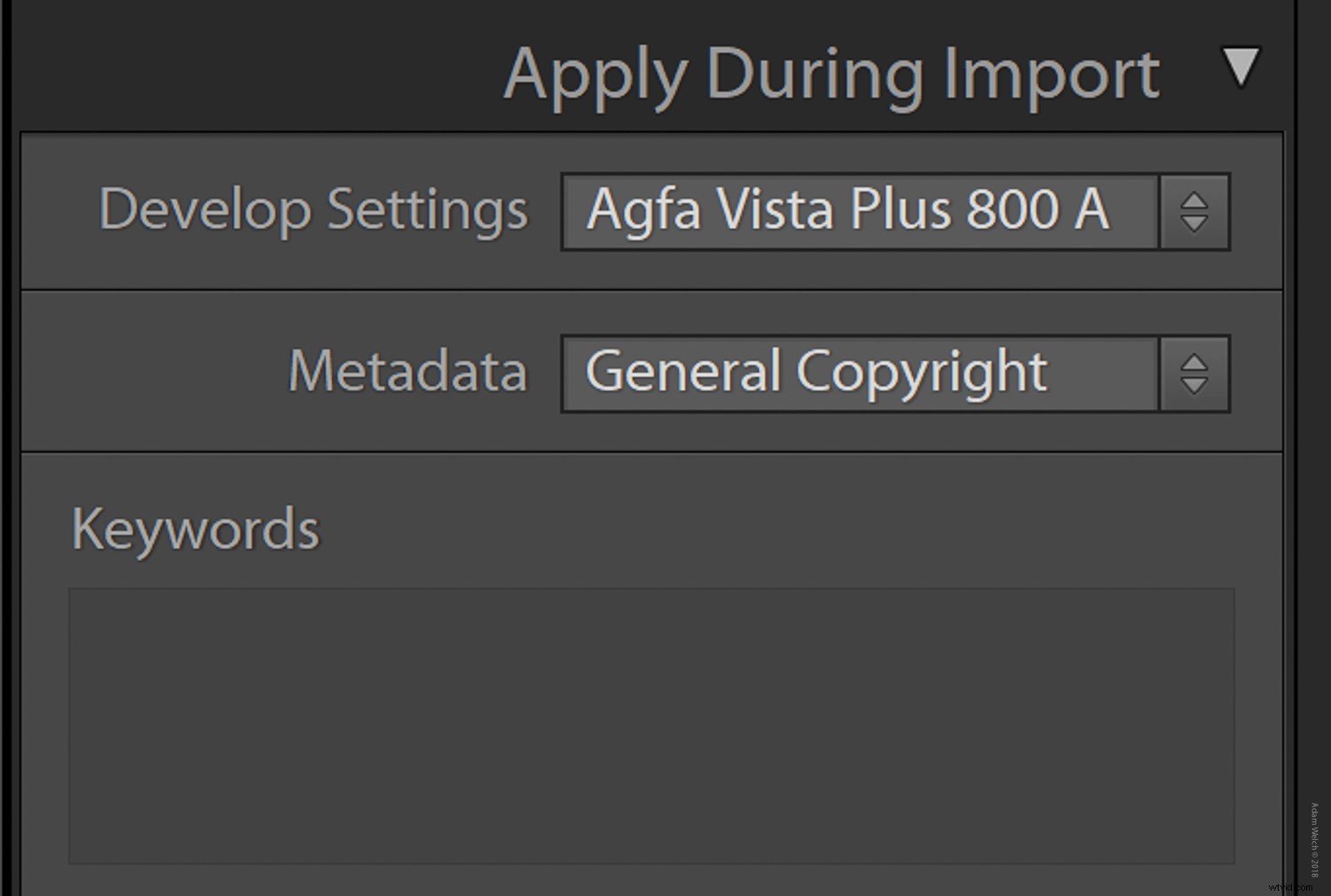 Master Import & Export Presets in Lightroom Classic CC: Step-by-Step Guide