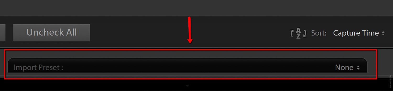 Master Import & Export Presets in Lightroom Classic CC: Step-by-Step Guide