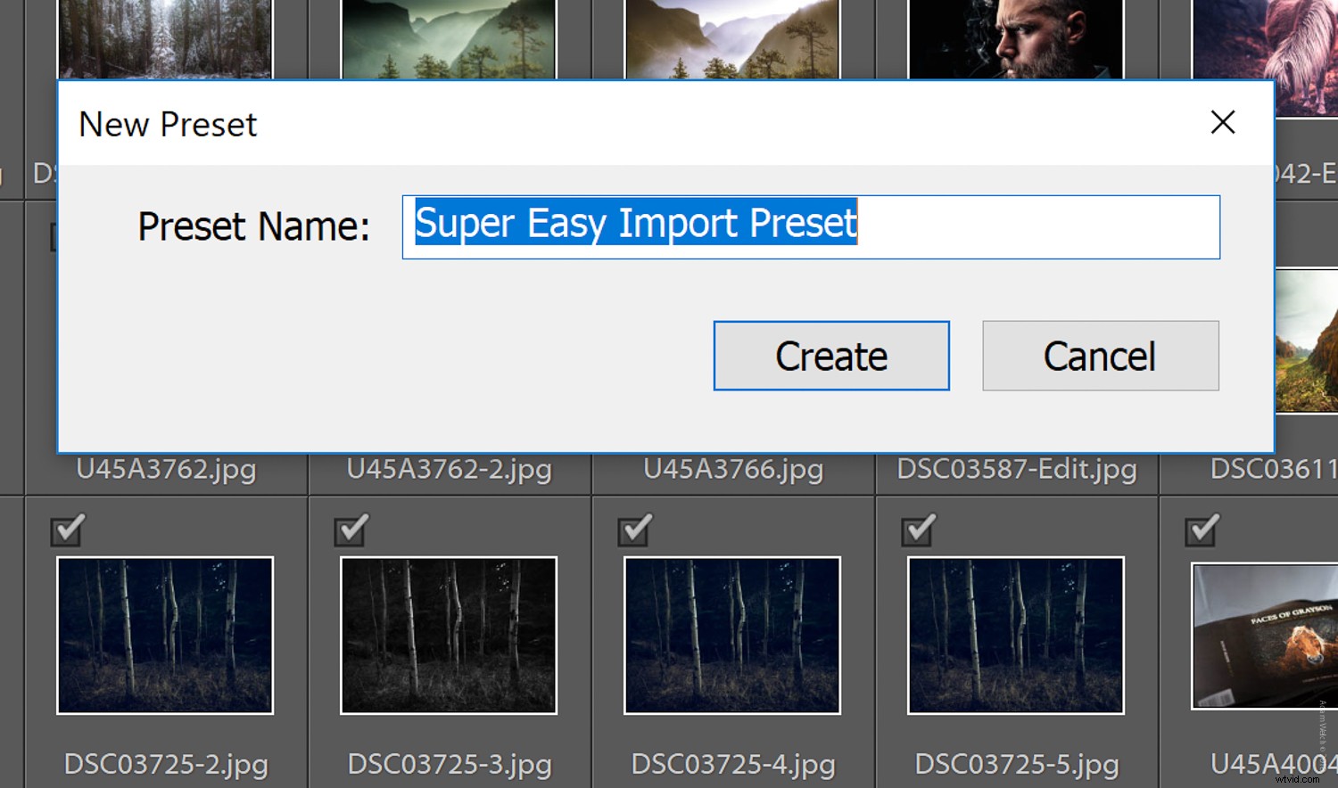 Master Import & Export Presets in Lightroom Classic CC: Step-by-Step Guide