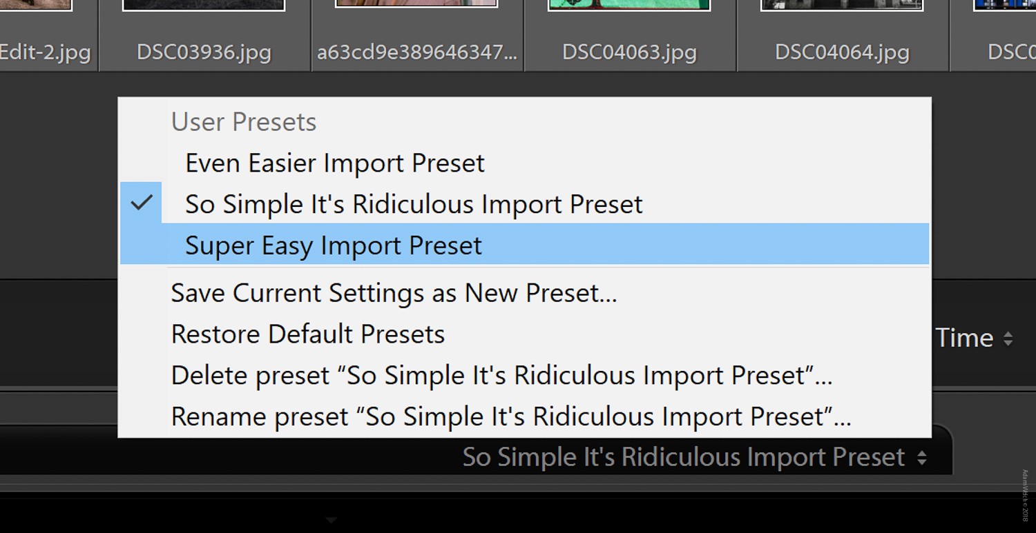 Master Import & Export Presets in Lightroom Classic CC: Step-by-Step Guide