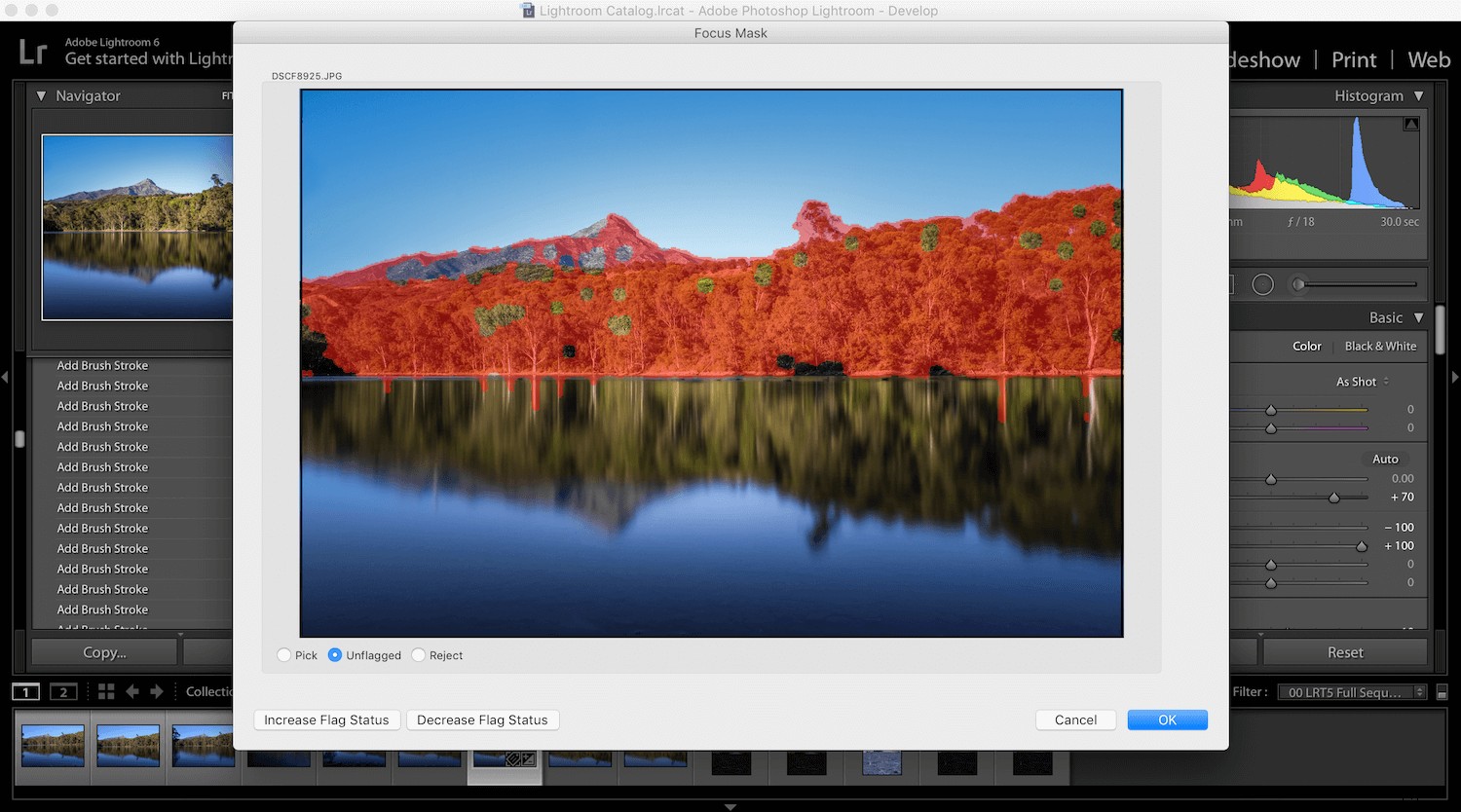Top 5 Adobe Lightroom Plugins to Streamline Your Photo Editing Workflow