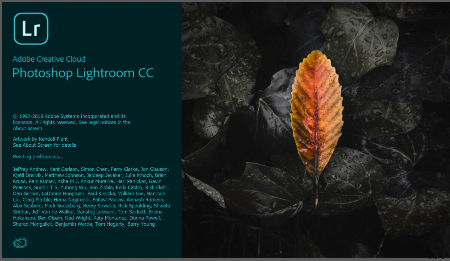 Seamlessly Sync Develop Presets to Lightroom Mobile: Step-by-Step Guide