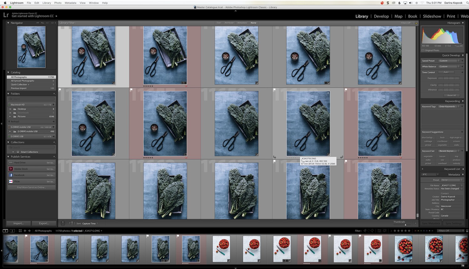 Effortlessly Locate Photos in Lightroom Catalog Using Smart Filters