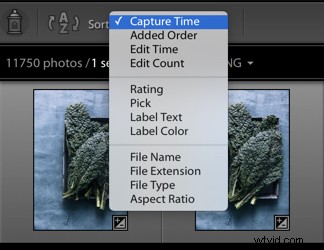 Effortlessly Locate Photos in Lightroom Catalog Using Smart Filters