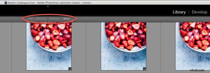 Effortlessly Locate Photos in Lightroom Catalog Using Smart Filters