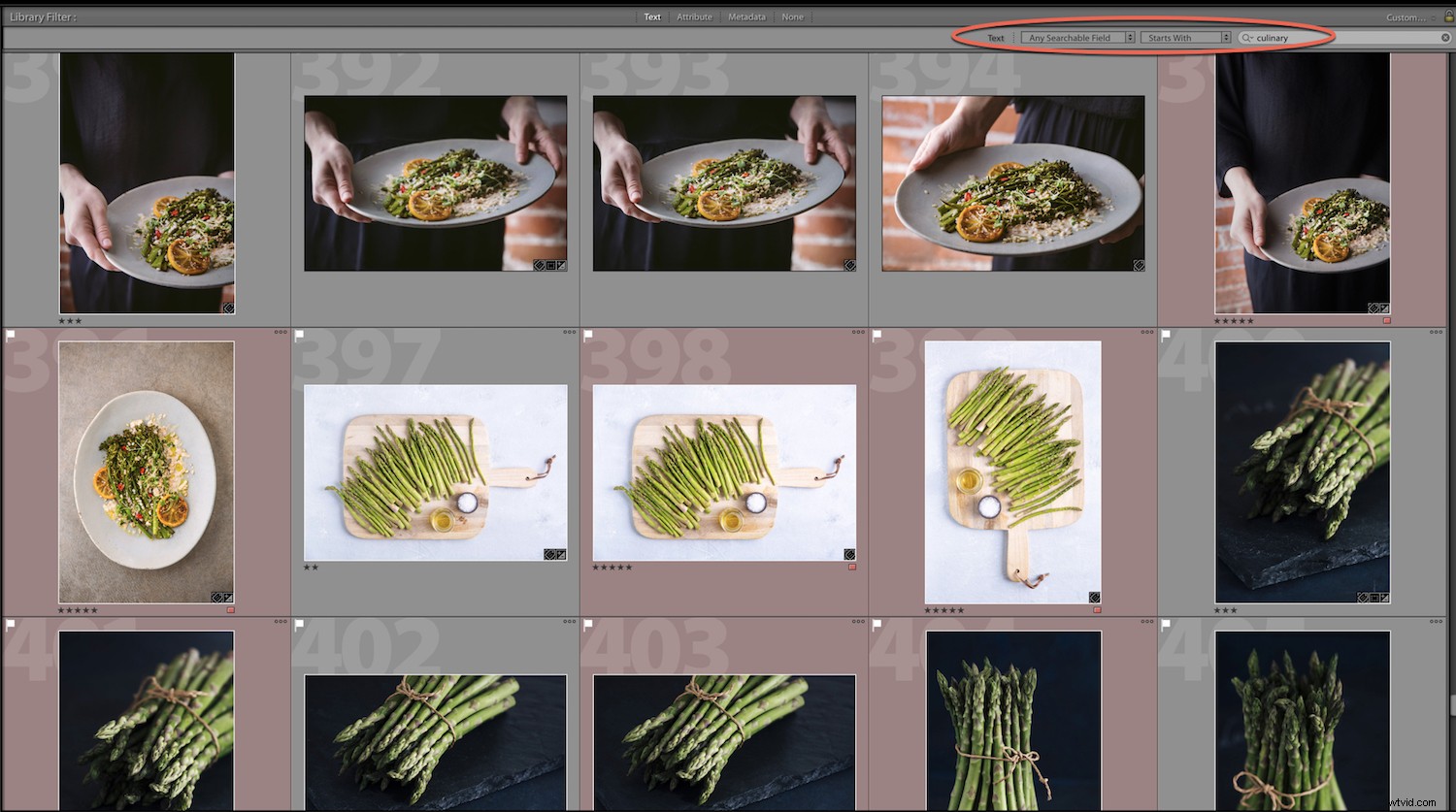 Effortlessly Locate Photos in Lightroom Catalog Using Smart Filters