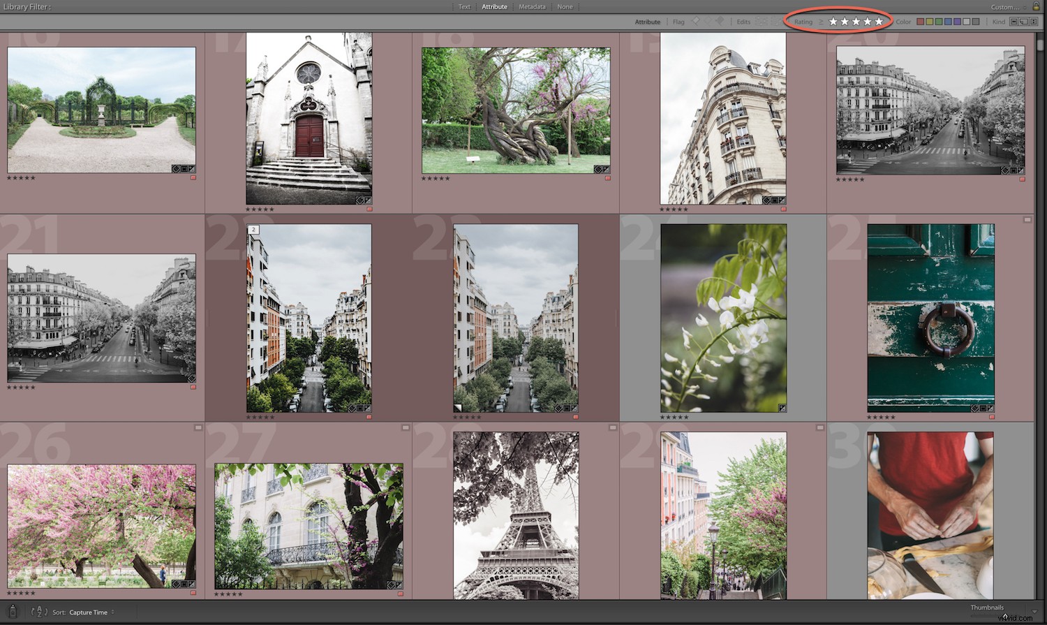Effortlessly Locate Photos in Lightroom Catalog Using Smart Filters