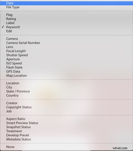 Effortlessly Locate Photos in Lightroom Catalog Using Smart Filters