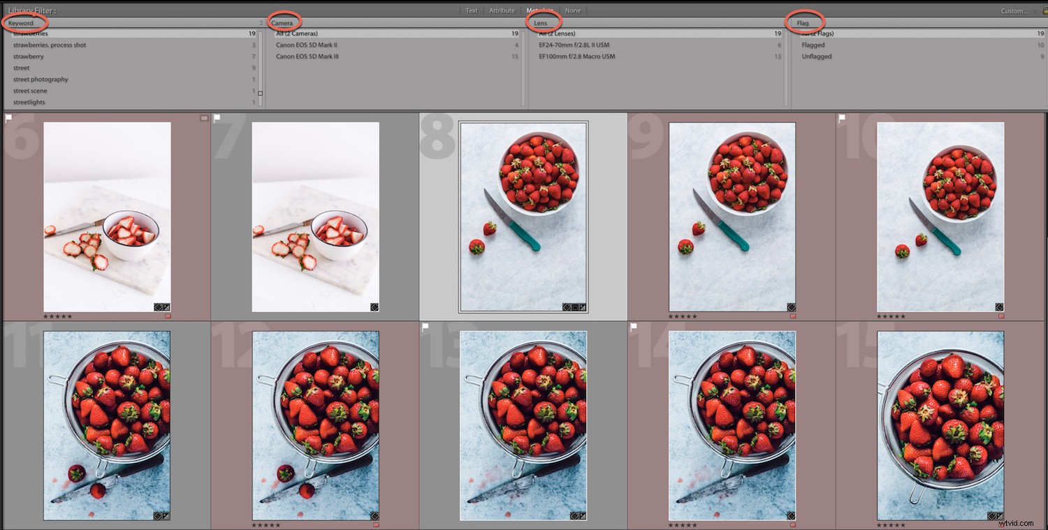 Effortlessly Locate Photos in Lightroom Catalog Using Smart Filters