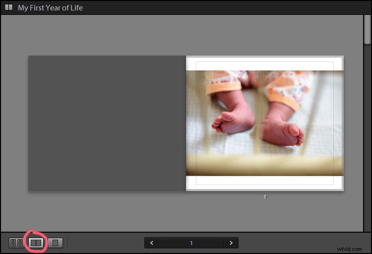 Craft Cherished Family Photo Albums with Lightroom s Book Module: Step-by-Step Guide