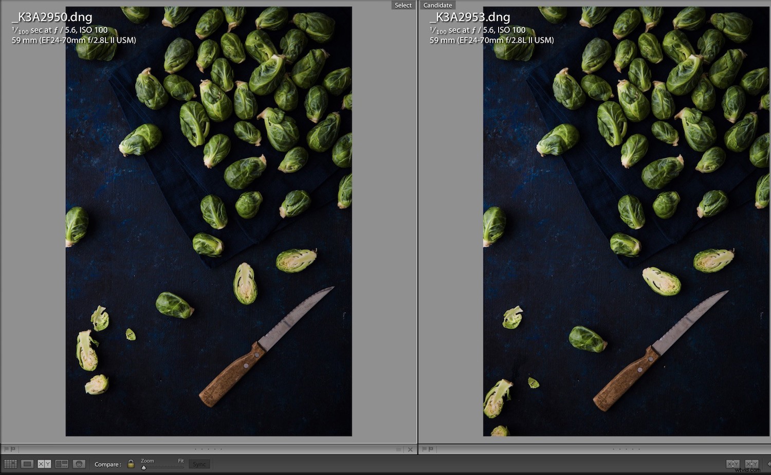 Master Compare View in Lightroom Classic CC: Easily Select Your Best Photos
