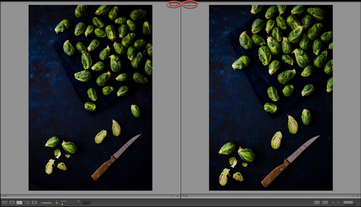 Master Compare View in Lightroom Classic CC: Easily Select Your Best Photos