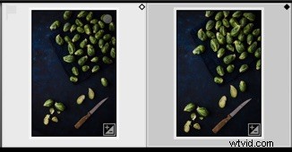 Master Compare View in Lightroom Classic CC: Easily Select Your Best Photos