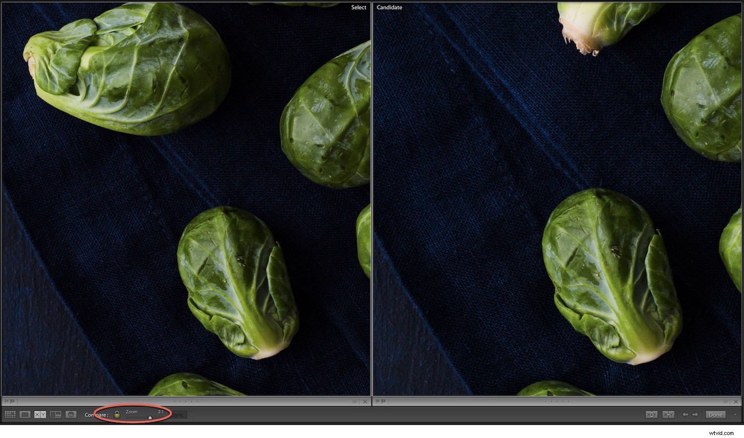 Master Compare View in Lightroom Classic CC: Easily Select Your Best Photos