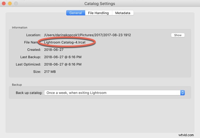 How to Seamlessly Merge Multiple Lightroom Catalogs into One: Expert Guide