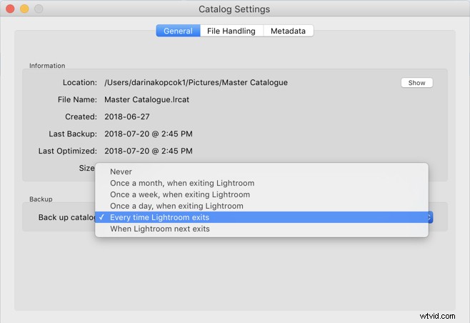 How to Seamlessly Merge Multiple Lightroom Catalogs into One: Expert Guide