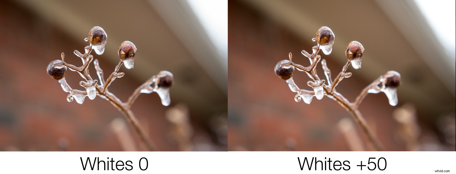 Master Lightroom s Basic Panel: Essential Editing Guide for Beginners