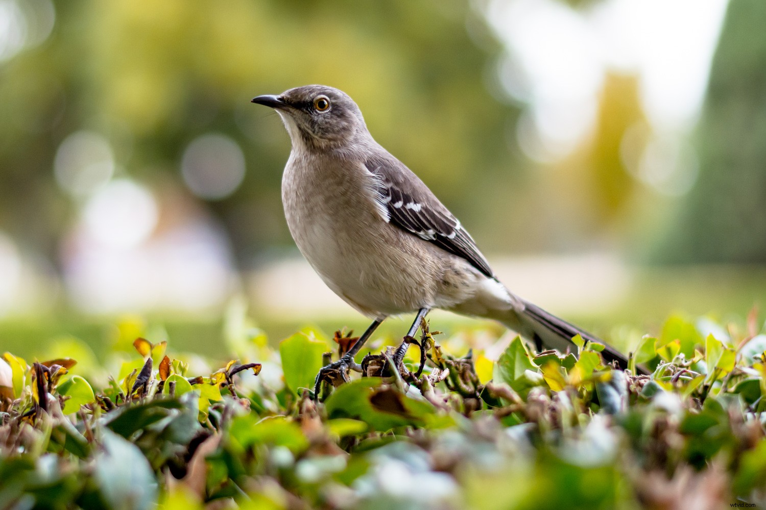 6 Proven Tips to Supercharge Your Lightroom Workflow and Shoot More Photos