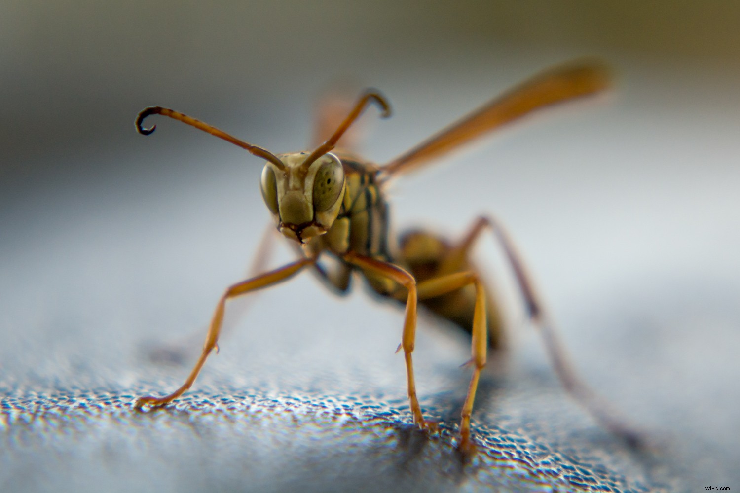 6 Proven Tips to Supercharge Your Lightroom Workflow and Shoot More Photos