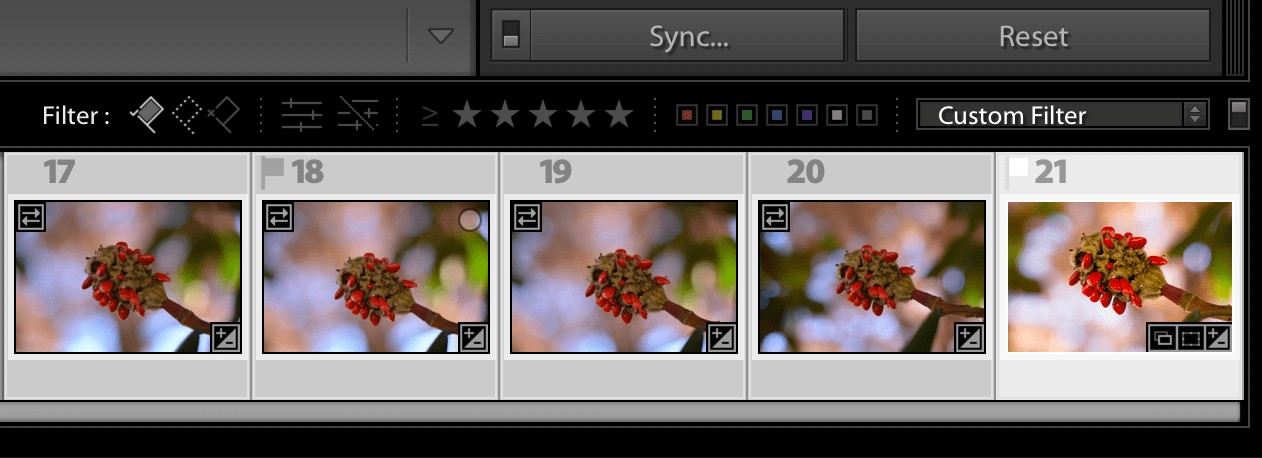 6 Proven Tips to Supercharge Your Lightroom Workflow and Shoot More Photos