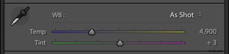 Master Perfect White Balance in Lightroom: Expert Step-by-Step Guide