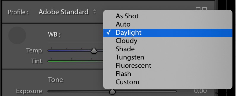 Master Perfect White Balance in Lightroom: Expert Step-by-Step Guide