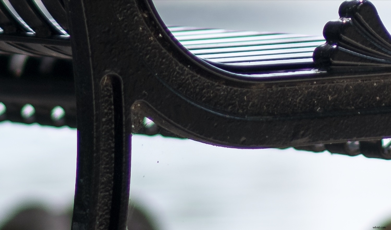 Master Manual Lens Corrections in Lightroom: Step-by-Step Guide