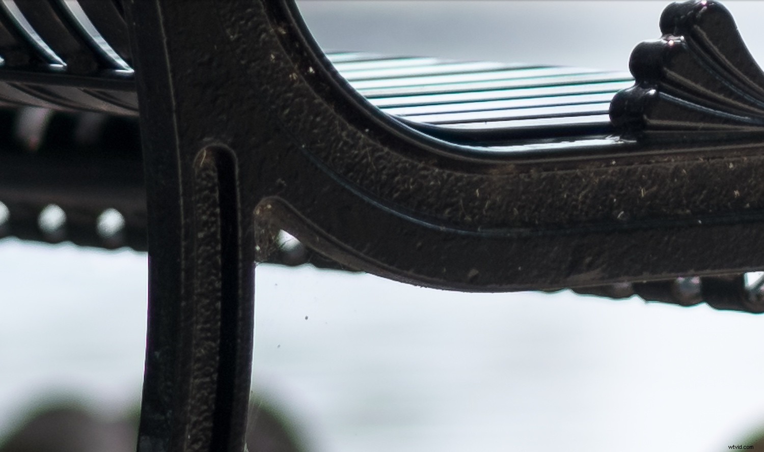 Master Manual Lens Corrections in Lightroom: Step-by-Step Guide